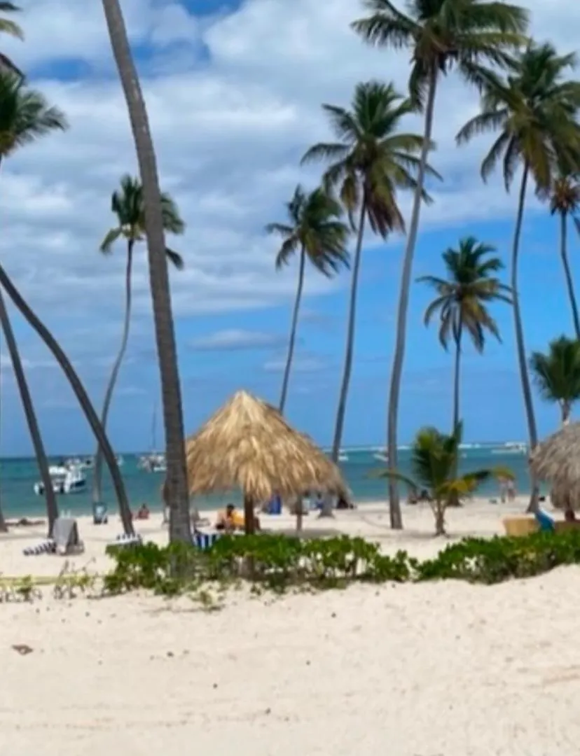 Playa Coral Punta Cana New Dream Beach