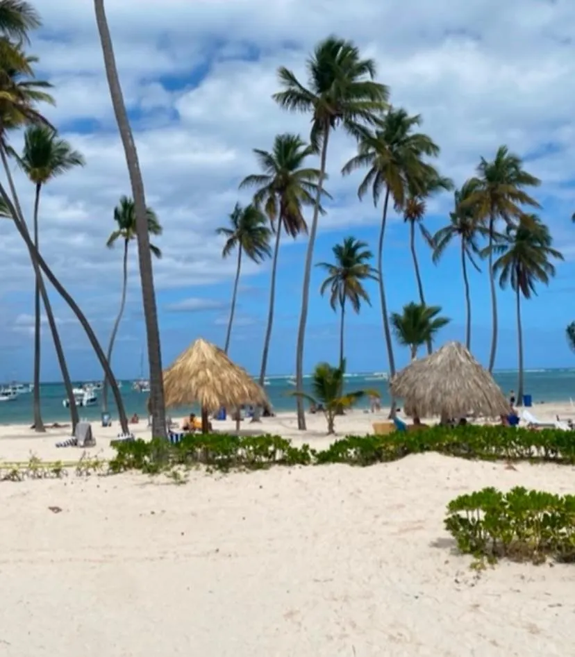 Проживание в семье Playa Coral Punta Cana New Dream Beach